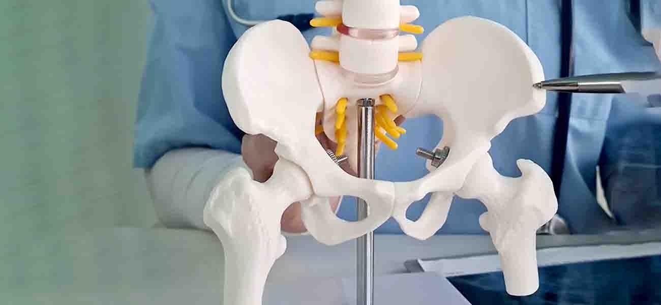 Kalça Artroplastisi